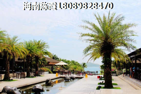 2023年山东的房子还能生纸吗？