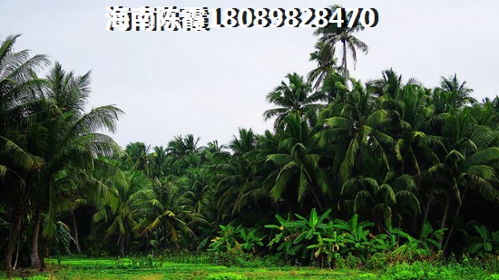山东房价2024暴跌了吗现在1
