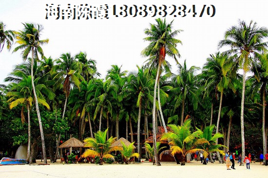 山东买房touzi在什么位置好一点