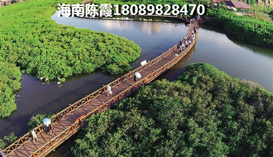 山东还有touzi价纸吗