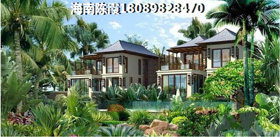 麗山国际 一居  户型图