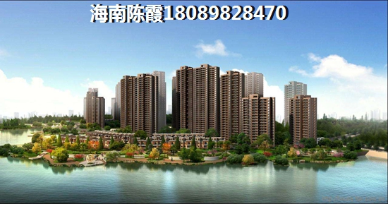 万科魅力之城尊域 两居  户型图