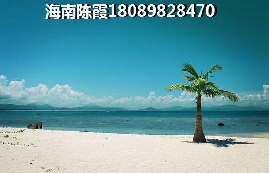 中冶圣乔维斯 一居  户型图