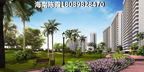 左岸风度
