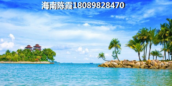 中环国际